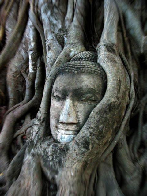 Somjai Place Ayutthaya Ngoại thất bức ảnh